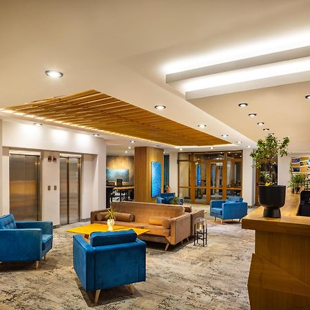 Coliving Bansko, The Social Hotel By Networking Premium バンスコ エクステリア 写真